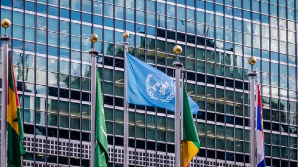 OPM Tolak Dialog Damai Dengan Pemerintah, Pengamat Singgung Keterlibatan PBB