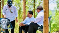 Berkemah Bareng Jokowi di IKN, Yuk Tengok Fasilitas Tenda Jajaran Menteri