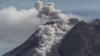 Gunung Merapi Kembali Luncurkan Awan Panas Sebanyak Tigal Kali Sejauh 2 Kilometer